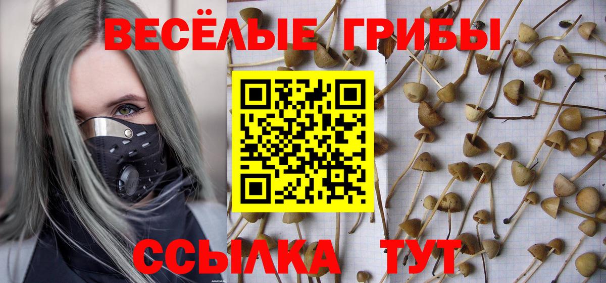 Галлюциногенные грибы Magic Shrooms  Псилоцибиновые грибы Psilocybe  Вход с VPN  Азнакаево 